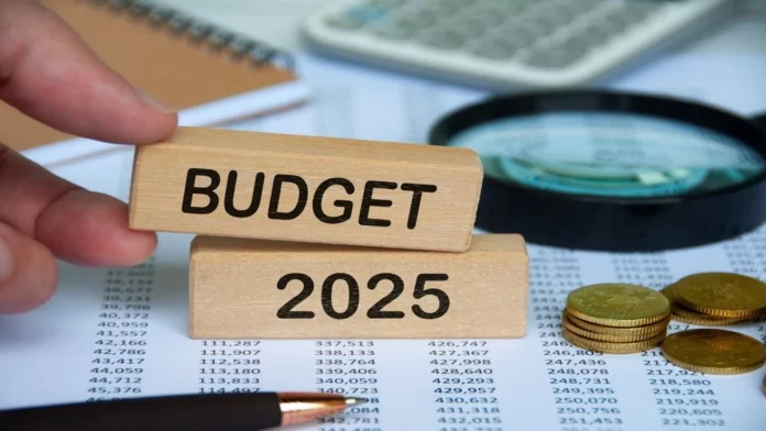 Budget 2025: Govt may Announce to Change the Tax Slab for Employed and Salaried Taxpayers in New Tax Regime